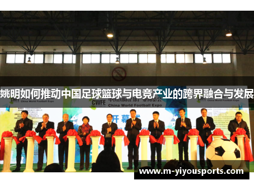 姚明如何推动中国足球篮球与电竞产业的跨界融合与发展